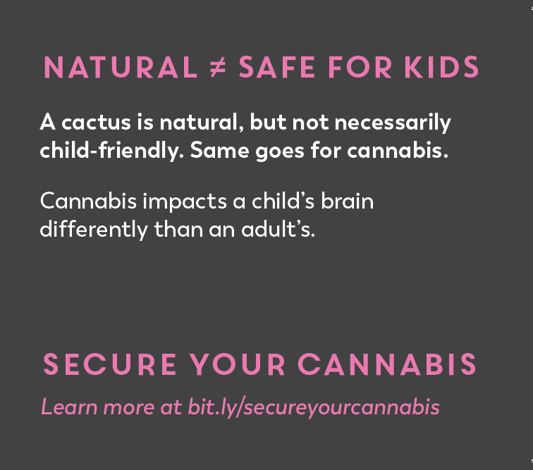 Natural Doesn't Equal Safe. A cactus is natural but not necessarily child-friendly. Same goes for cannabis. Cannabis impacts a child's brain different than an adults. Secure Your Cannabis.