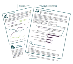 icon-outcomes-survey Youth Survey Assessment